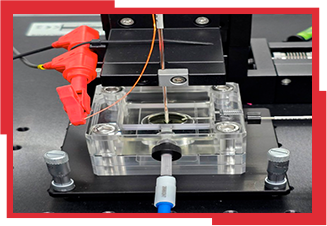 14_11_LABCORR_Infraestrutura-4_Microscopio-eletroquimico_detalhes